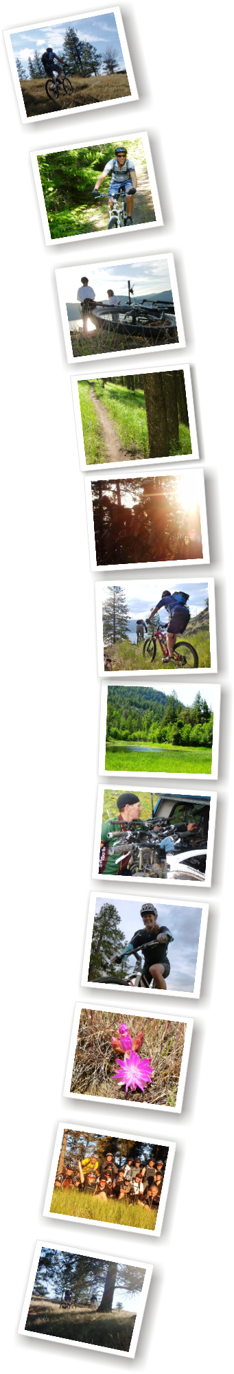 Images
