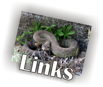 links
